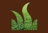 Couch Grass
