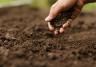 Farmer testing soil