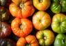 heirloom tomatoes