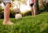 Common Lawn Care Questions & Answers
