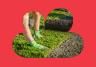 Laying New Lawn 