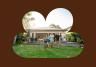 Most Common Lawn Care Questions Australia
