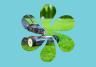 Spring lawn care