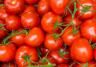 Tomaten