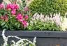 A guide to the perfect raised flower bed