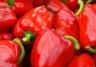 How to grow peppers