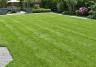 A lush green lawn