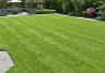 7 lawn care tips