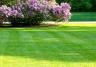 Spring lawn care