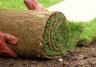 How to lay turf