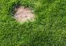 How to repair lawn patches