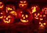Crazy facts about halloween pumpkins