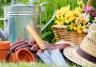 Gardening popularity – is it growing or declining?