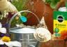 A metal watering can with Miracle-Gro All Purpose Soluble Plant Food being poured into it