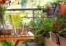 26 amazing balcony gardens