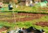 Jardin En Partage...Jardins Partagés