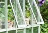 Top tips for greenhouse growing