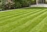 Real grass lawns versus artificial lawns