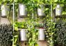 Vertical gardening ideas