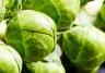 How to grow brussel sprouts
