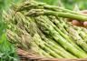 Asparagus (Asparagus officinalis)