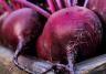 Beetroot (Beta vulgaris)