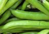 Broad Beans (Vicia faba)