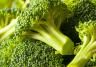 Broccoli (Brassica oleracea var. italica)