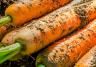 Carrots (Daucus carota)