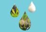 Mowing a Wet Lawn and Other Wild Weather Tips