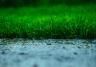 Mowing a Wet Lawn and Other Wild Weather Tips