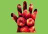 The Right Fruit For Your Climate Zone