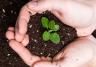 Jong plantje ziet het levenslicht in de handen van de duurzame tuinier