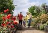 Floral Fantasia at RHS Garden Hyde Hall