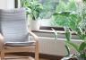 How to create your own indoor jungle with houseplants in the UK
