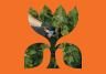 Pruning 
