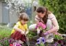 Staying safe while you garden: how to minimise health risks