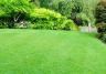 Aussie homeowner’s guide to a lush green lawn