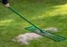 Rasen ebnen: So gleichst du Unebenheiten aus