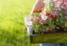 5 astuces pour réussir vos jardinières