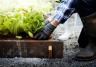 garden planter box