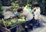 Gardening with children