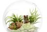 terranium