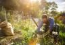 Why is gardening good | David Domoney | Miracle Gro