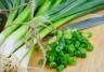 how to grow spring onions