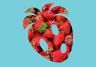 Companion Planting for Fruit & Citrus Trees