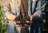 How to make organic compost