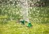 Watering your garden | David Domoney | Miracle-Gro