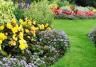 Roundup La Pause Jardin