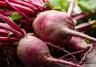 Bunch of Beetroot